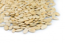 Large Pumpkin Seeds Category7